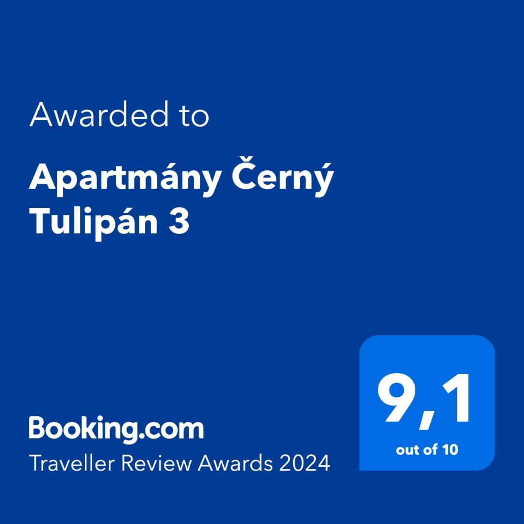 Апартаменты Cerny Tulipan - Apartman 3 Пльзень Экстерьер фото